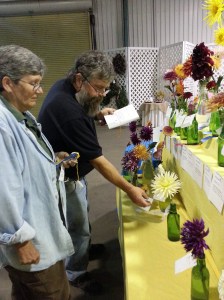 Master Gardener Mike and Donna help me judge the floral competition at the state fair.  